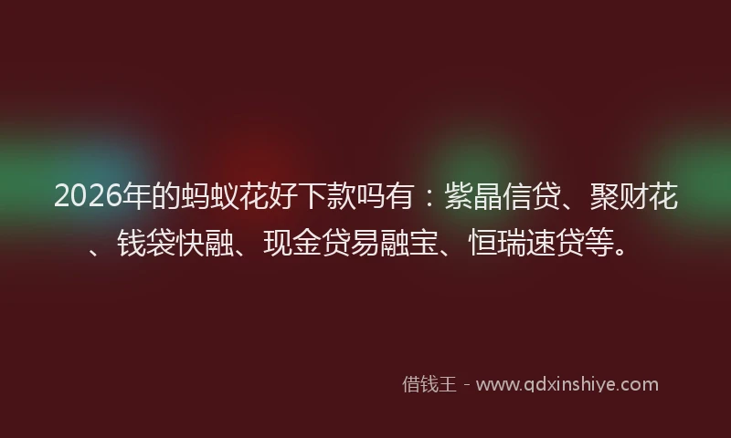 2026年的蚂蚁花好下款吗有：紫晶信贷、聚财花、钱袋快融、现金贷易融宝、恒瑞速贷等。