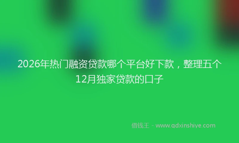 2026年热门融资贷款哪个平台好下款，整理五个12月独家贷款的口子