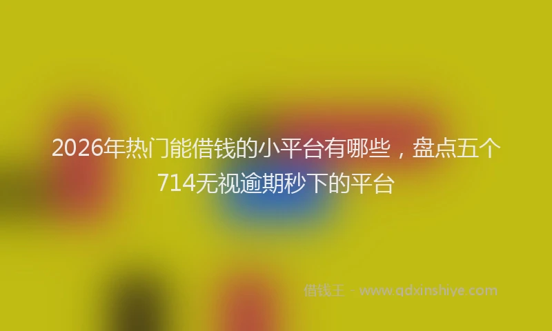 2026年热门能借钱的小平台有哪些，盘点五个714无视逾期秒下的平台
