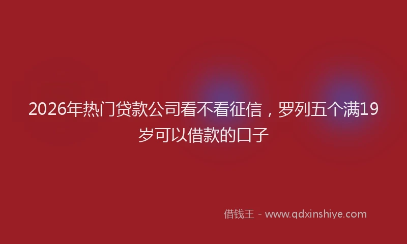2026年热门贷款公司看不看征信，罗列五个满19岁可以借款的口子