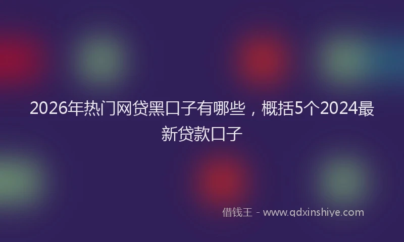 2026年热门网贷黑口子有哪些，概括5个2024最新贷款口子