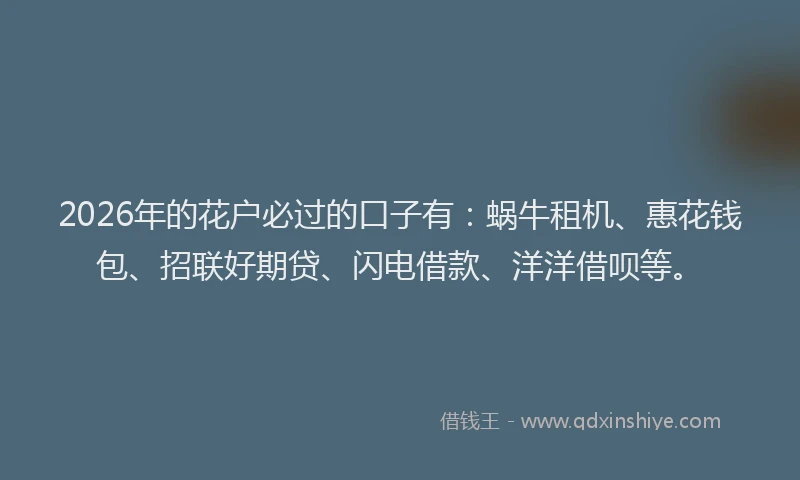 2026年的花户必过的口子有：蜗牛租机、惠花钱包、招联好期贷、闪电借款、洋洋借呗等。