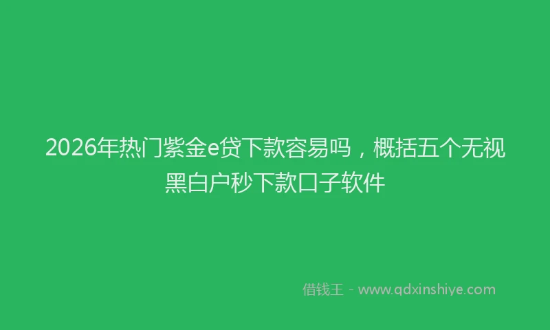 2026年热门紫金e贷下款容易吗，概括五个无视黑白户秒下款口子软件