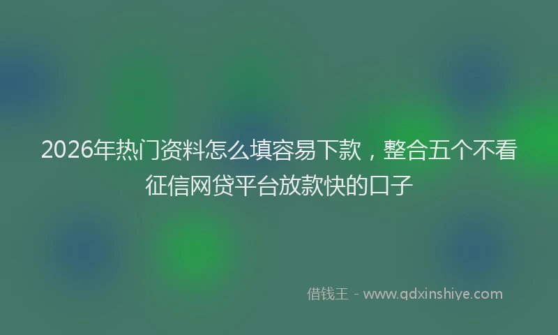2026年热门资料怎么填容易下款，整合五个不看征信网贷平台放款快的口子
