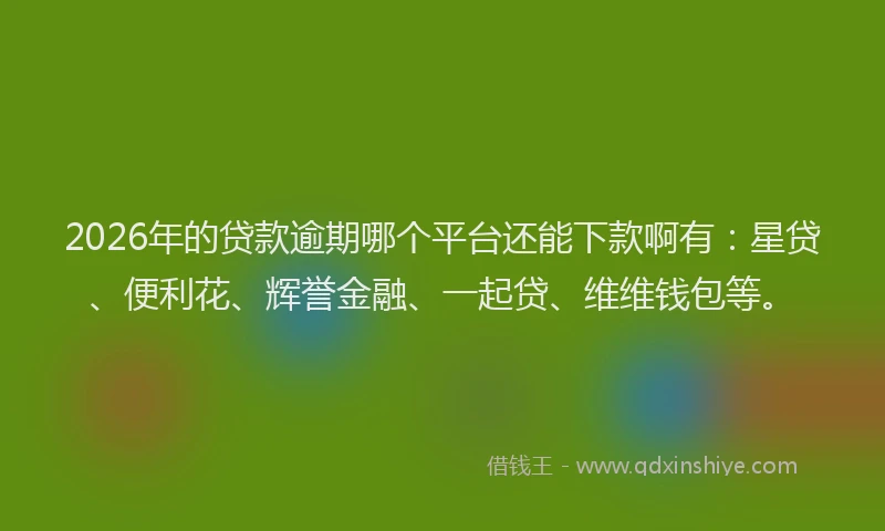 2026年的贷款逾期哪个平台还能下款啊有:星贷、便利花、辉誉金融、一起贷、维维钱包等。