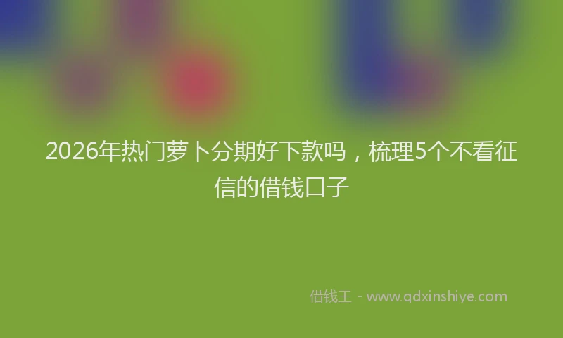 2026年热门萝卜分期好下款吗,梳理5个不看征信的借钱口子