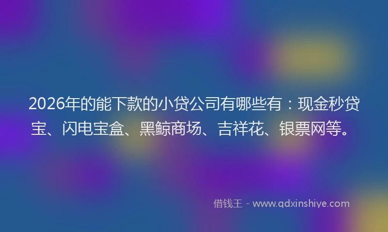2026年的能下款的小贷公司有哪些有：现金秒贷宝、闪电宝盒、黑鲸商场、吉祥花、银票网等。