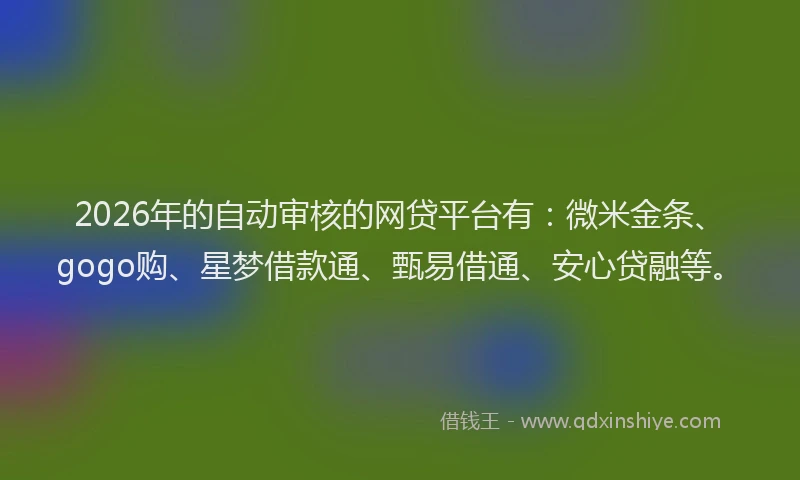 2026年的自动审核的网贷平台有：微米金条、gogo购、星梦借款通、甄易借通、安心贷融等。