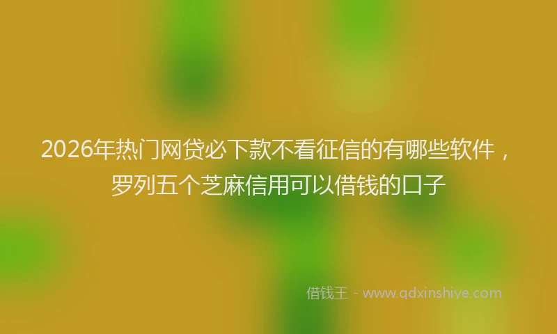 2026年热门网贷必下款不看征信的有哪些软件，罗列五个芝麻信用可以借钱的口子