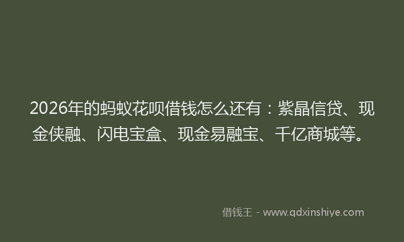 2026年的蚂蚁花呗借钱怎么还有：紫晶信贷、现金侠融、闪电宝盒、现金易融宝、千亿商城等。