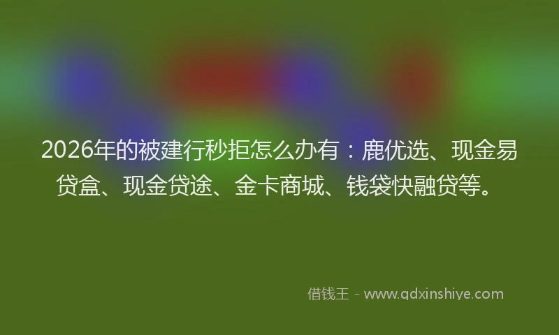2026年的被建行秒拒怎么办有：鹿优选、现金易贷盒、现金贷途、金卡商城、钱袋快融贷等。