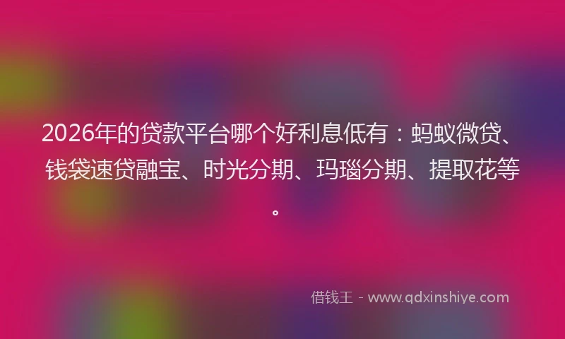 2026年的贷款平台哪个好利息低有：蚂蚁微贷、钱袋速贷融宝、时光分期、玛瑙分期、提取花等。