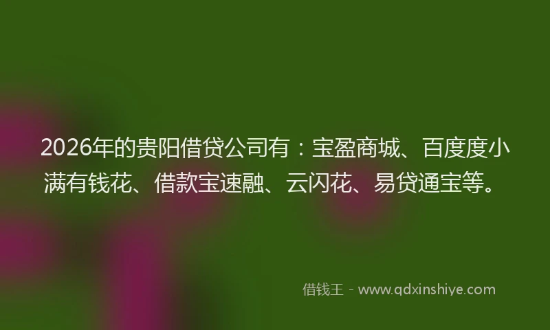 2026年的贵阳借贷公司有：宝盈商城、百度度小满有钱花、借款宝速融、云闪花、易贷通宝等。
