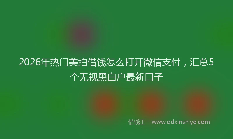 2026年热门美拍借钱怎么打开微信支付，汇总5个无视黑白户最新口子