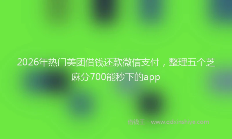 2026年热门美团借钱还款微信支付，整理五个芝麻分700能秒下的app
