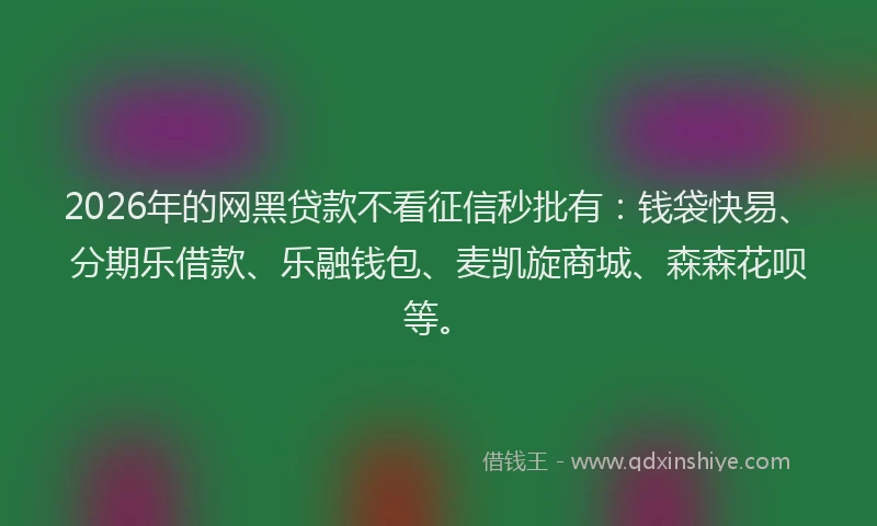 2026年的网黑贷款不看征信秒批有：钱袋快易、分期乐借款、乐融钱包、麦凯旋商城、森森花呗等。