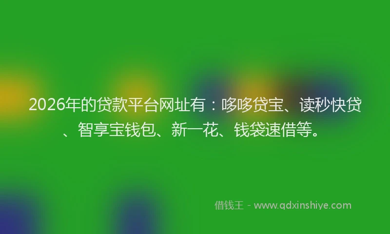 2026年的贷款平台网址有：哆哆贷宝、读秒快贷、智享宝钱包、新一花、钱袋速借等。