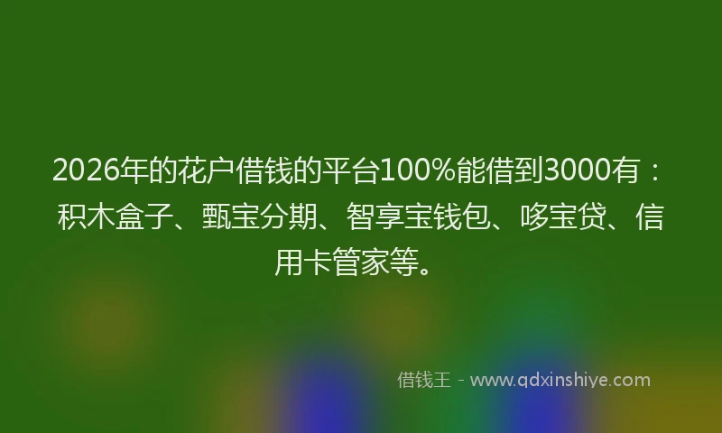 2026年的花户借钱的平台100%能借到3000有：积木盒子、甄宝分期、智享宝钱包、哆宝贷、信用卡管家等。