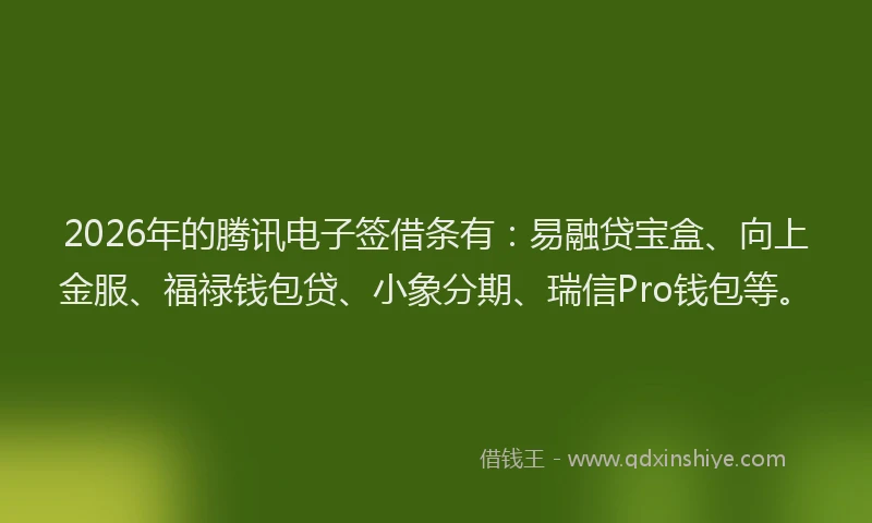 2026年的腾讯电子签借条有：易融贷宝盒、向上金服、福禄钱包贷、小象分期、瑞信Pro钱包等。