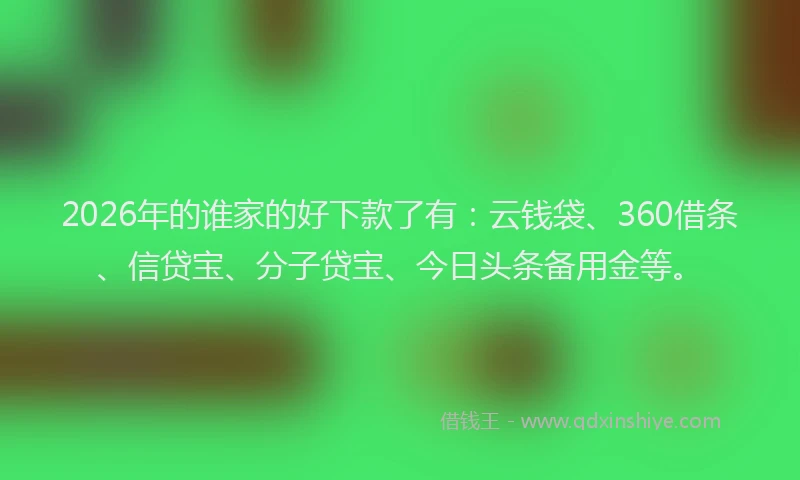 2026年的谁家的好下款了有：云钱袋、360借条、信贷宝、分子贷宝、今日头条备用金等。