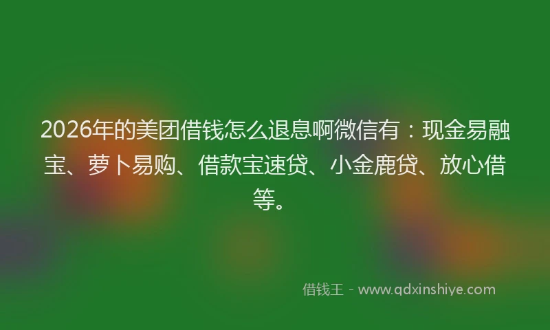 2026年的美团借钱怎么退息啊微信有:现金易融宝、萝卜易购、借款宝速贷、小金鹿贷、放心借等。