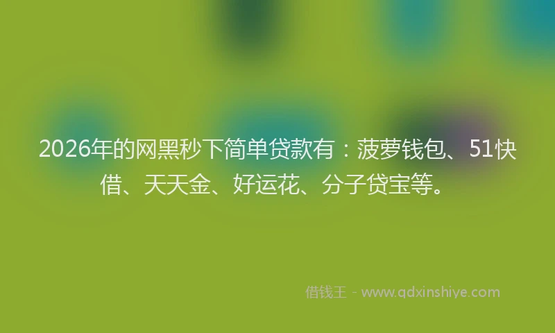 2026年的网黑秒下简单贷款有：菠萝钱包、51快借、天天金、好运花、分子贷宝等。