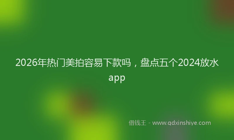 2026年热门美拍容易下款吗，盘点五个2024放水app