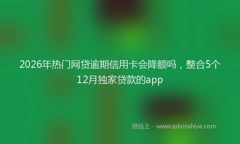 2026年热门网贷逾期信用卡会降额吗，整合5个12月独家贷款的app