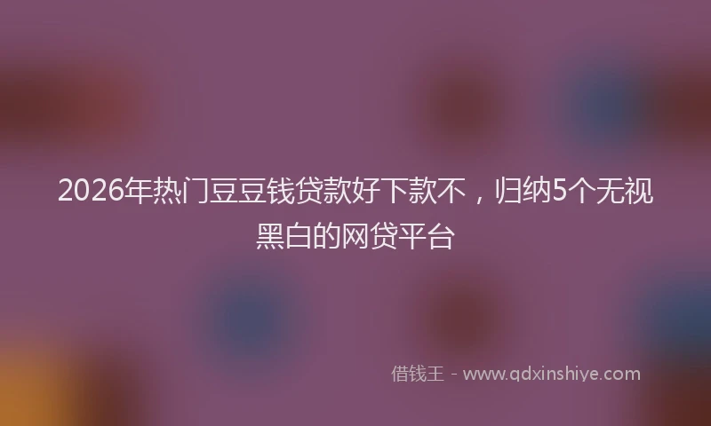 2026年热门豆豆钱贷款好下款不，归纳5个无视黑白的网贷平台