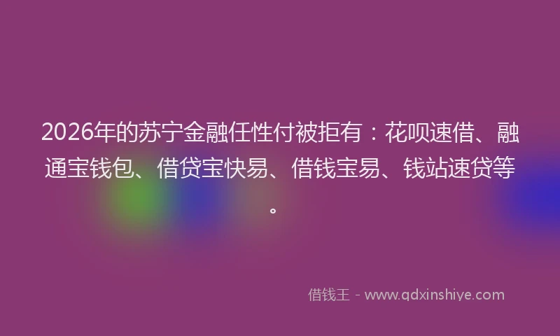 2026年的苏宁金融任性付被拒有:花呗速借、融通宝钱包、借贷宝快易、借钱宝易、钱站速贷等。