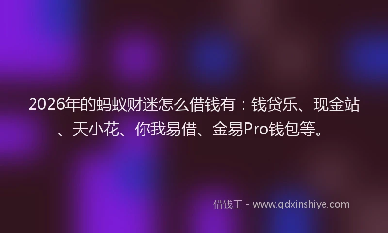 2026年的蚂蚁财迷怎么借钱有:钱贷乐、现金站、天小花、你我易借、金易Pro钱包等。