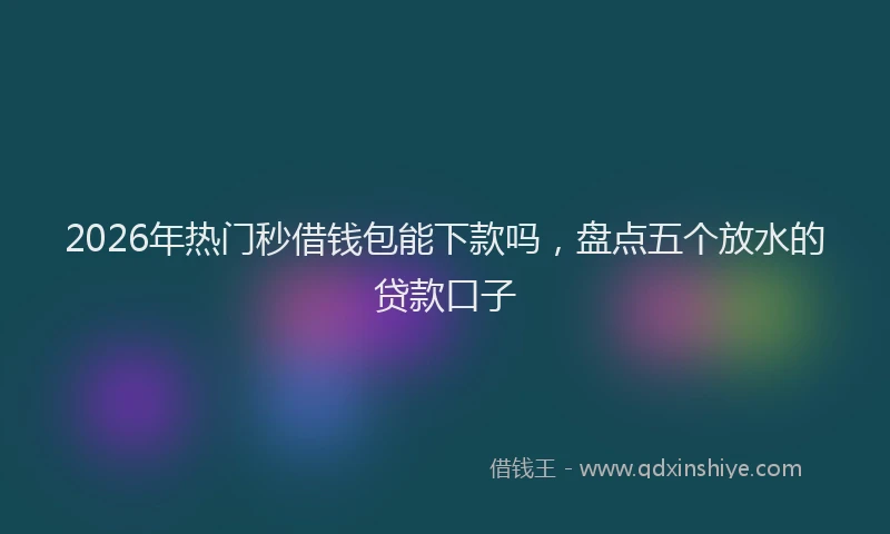 2026年热门秒借钱包能下款吗，盘点五个放水的贷款口子