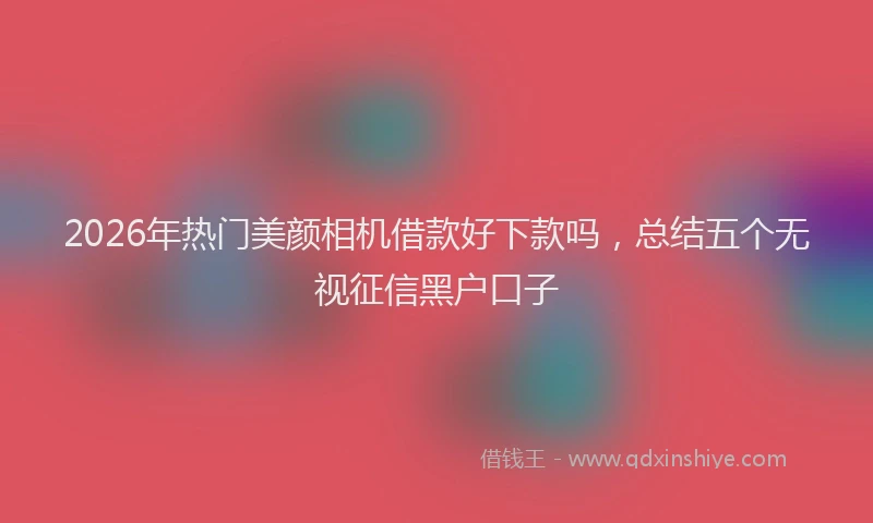 2026年热门美颜相机借款好下款吗，总结五个无视征信黑户口子