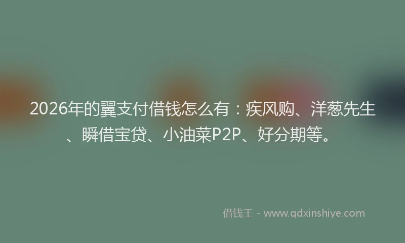 2026年的翼支付借钱怎么有:疾风购、洋葱先生、瞬借宝贷、小油菜P2P、好分期等。