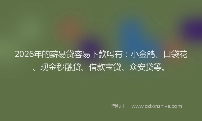 2026年的薪易贷容易下款吗有：小金鸽、口袋花、现金秒融贷、借款宝贷、众安贷等。