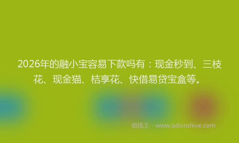 2026年的融小宝容易下款吗有:现金秒到、三枝花、现金猫、桔享花、快借易贷宝盒等。