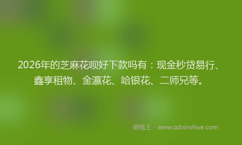 2026年的芝麻花呗好下款吗有：现金秒贷易行、鑫享租物、金瀛花、哈银花、二师兄等。