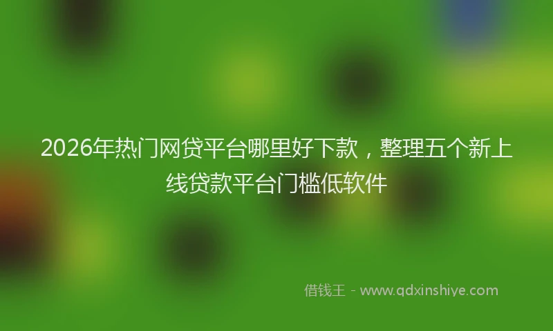 2026年热门网贷平台哪里好下款，整理五个新上线贷款平台门槛低软件