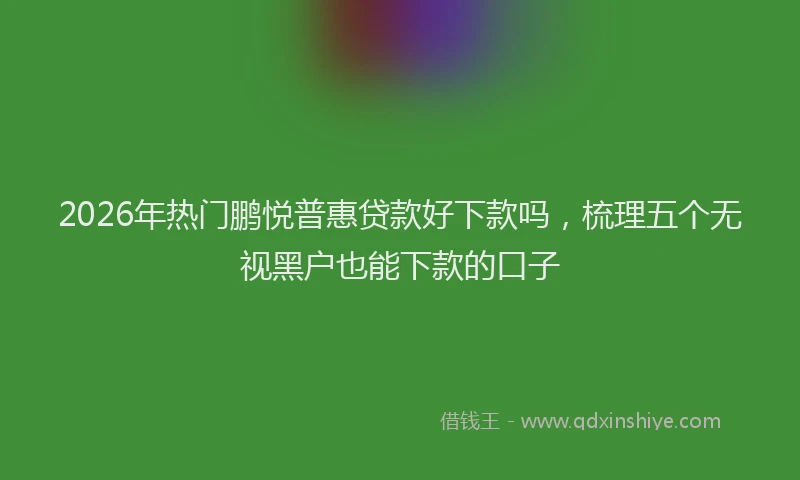 2026年热门鹏悦普惠贷款好下款吗,梳理五个无视黑户也能下款的口子