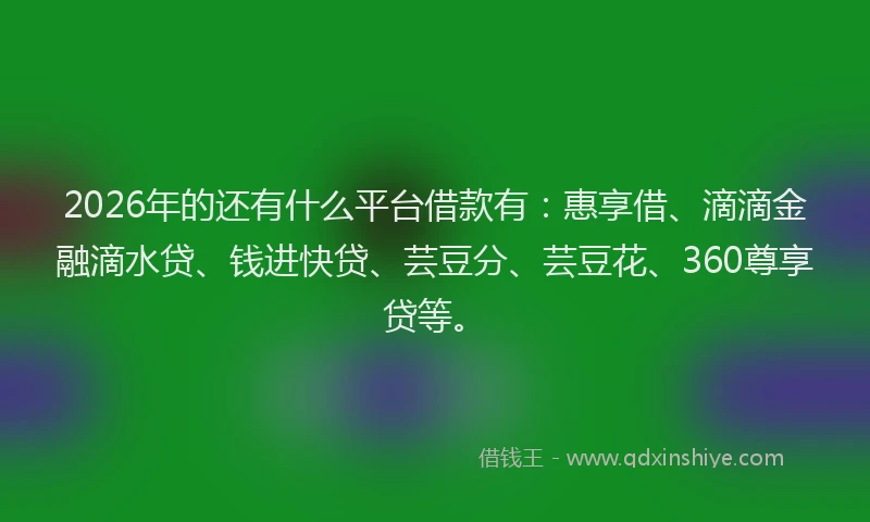 2026年的还有什么平台借款有：惠享借、滴滴金融滴水贷、钱进快贷、芸豆分、芸豆花、360尊享贷等。