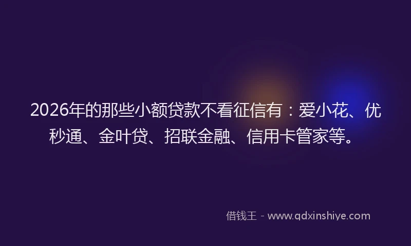 2026年的那些小额贷款不看征信有:爱小花、优秒通、金叶贷、招联金融、信用卡管家等。