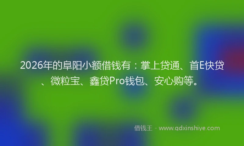 2026年的阜阳小额借钱有：掌上贷通、首E快贷、微粒宝、鑫贷Pro钱包、安心购等。
