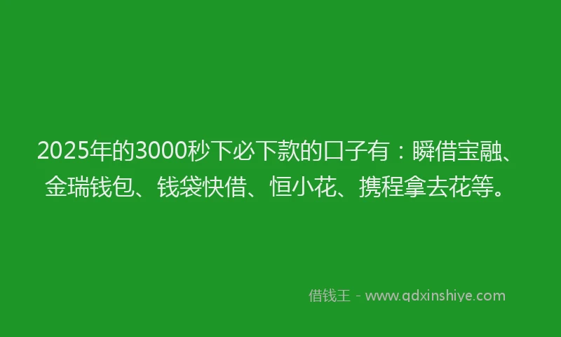 2025年的3000秒下必下款的口子有:瞬借宝融、金瑞钱包、钱袋快借、恒小花、携程拿去花等。
