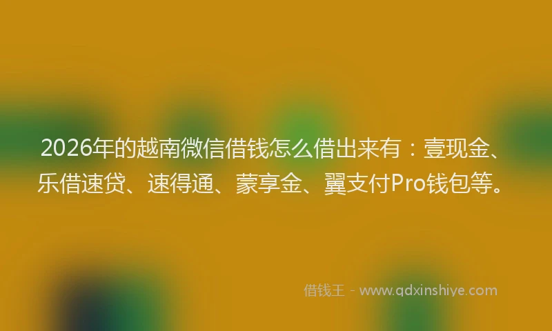 2026年的越南微信借钱怎么借出来有：壹现金、乐借速贷、速得通、蒙享金、翼支付Pro钱包等。