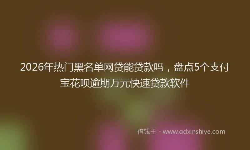 2026年热门黑名单网贷能贷款吗,盘点5个支付宝花呗逾期万元快速贷款软件
