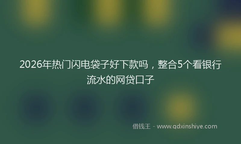 2026年热门闪电袋子好下款吗,整合5个看银行流水的网贷口子