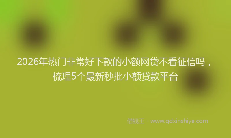 2026年热门非常好下款的小额网贷不看征信吗,梳理5个最新秒批小额贷款平台