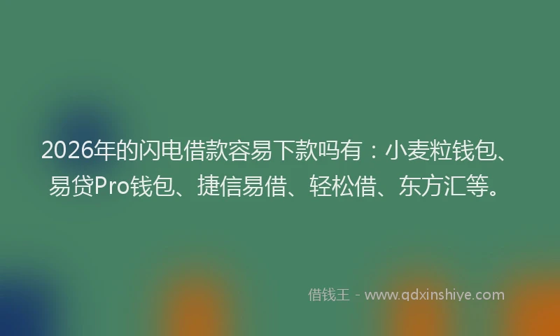 2026年的闪电借款容易下款吗有：小麦粒钱包、易贷Pro钱包、捷信易借、轻松借、东方汇等。