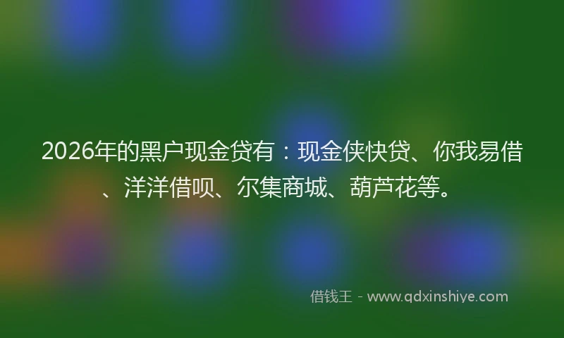 2026年的黑户现金贷有：现金侠快贷、你我易借、洋洋借呗、尔集商城、葫芦花等。