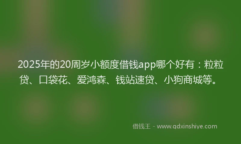 2025年的20周岁小额度借钱app哪个好有：粒粒贷、口袋花、爱鸿森、钱站速贷、小狗商城等。